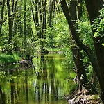 Ferien Am Hegensteinbach Holiday home Furstenberg-Havel