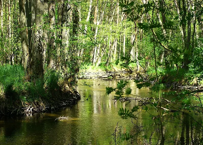 Ferien Am Hegensteinbach Vakantiehuis