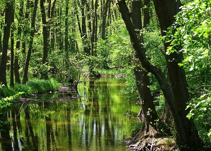 Ferien Am Hegensteinbach Vakantiehuis Fürstenberg-Havel