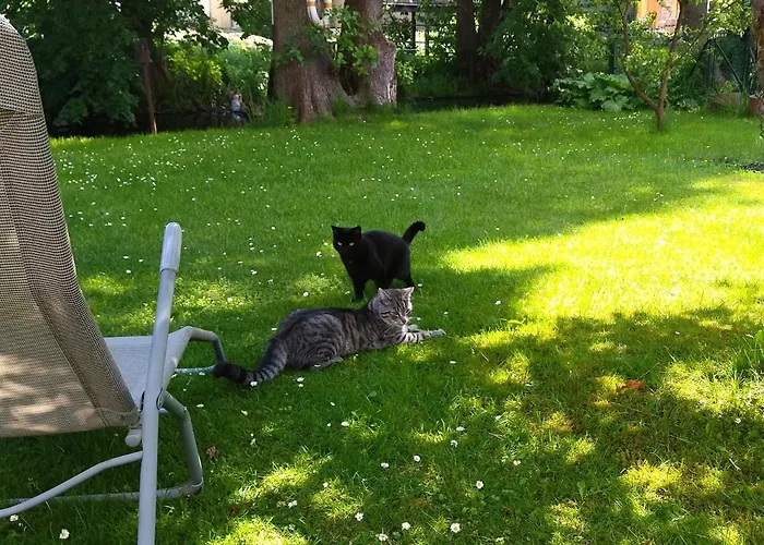 Ferien Am Hegensteinbach